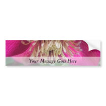 Interior Of A Delicate Spring Hellebore Flower Bumper Sticker