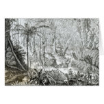 Interior of a Primeval Forest in the Amazons Cards