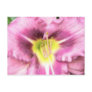 Interior Of A Ruffled Mauve Daylily