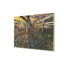 Interior View of the JR Simplot Dehydrating Co Stretched Canvas Print