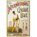 International Cricket Bat t-shirts