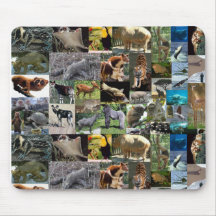 internet safari mousemat mouse pad