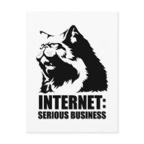 Internet: Serious Business (lolcat funny tshirt)