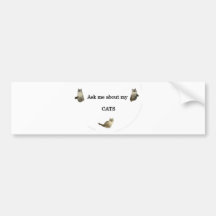 Interrogez-moi au sujet de mes chats autocollants pour voiture