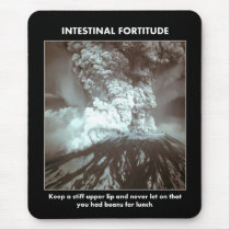 intestinal-fortitude-keep-a-stiff-upper-lip mousepad