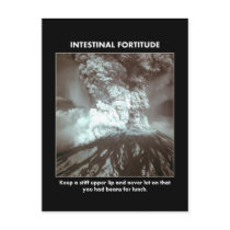 intestinal-fortitude-keep-a-stiff-upper-lip postcard