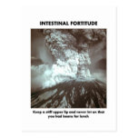intestinal-fortitude-keep-a-stiff-upper-lip post card