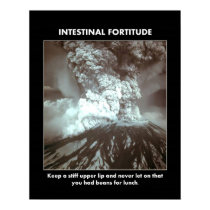 intestinal-fortitude-keep-a-stiff-upper-lip posters