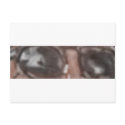 intheshades postcards