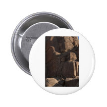 Intian Rockart Pins