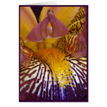 Intimate Iris Mother's Day Cards