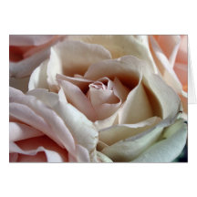 Intimate Roses Greeting Card