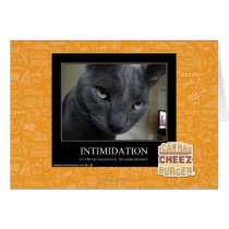 Intimidation Greeting Cards