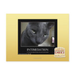 Intimidation postcards