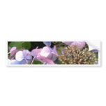 Into the garden bumper sticker