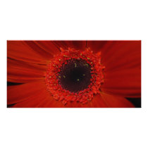 Into The little Things That Count Picture Card
