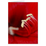 Into The Macro Greeting Card