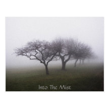 Into The Mist Post Cards