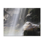 Into the Mist Post Card