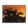 Into the Sunset Postcards