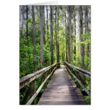 Into the Woods Greeting Card