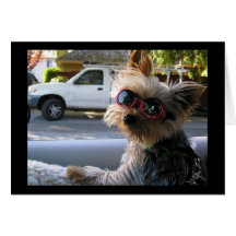 Introducing:JACK! Greeting Cards