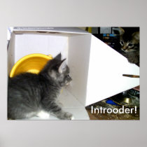 Introoder! Kitten poster