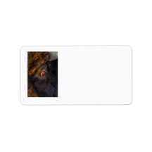 Intruder Labels