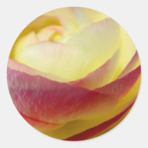 Intuition Round Sticker