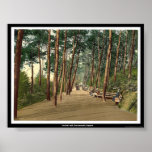 Invalids' walk, Bournemouth, England Poster