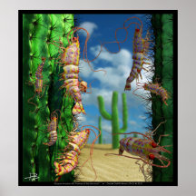 Invasion #5 d'océan : Crevettes roses du Sonoran Posters
