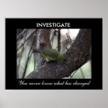Investigate Posters