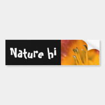 invisible self bumper stickers