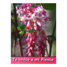 Invitación -Te invito a mi Fiesta - Flores rosa Custom Announcement