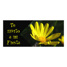 Invitación -Te invito a mi Fiesta - Margarita Custom Invites