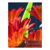 Invitación -Te invito a mi Fiesta - Margaritas Personalized Announcement