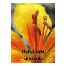 Invitación - Usted está invitado Invitation