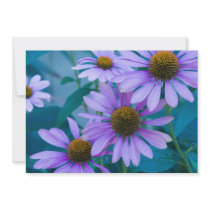 Invitation, birthday, purple daisies