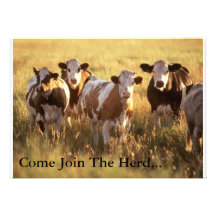 Invitation Card... Join The Herd