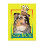 Invitation Cupcake - Australian Shepherd - Dustine