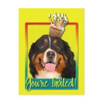 Invitation Cupcake - Bernese Mountain Dog