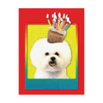 Invitation Cupcake - Bichon Frise