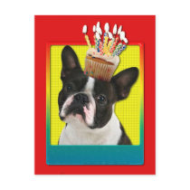 Invitation Cupcake - Boston Terrier