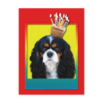 Invitation Cupcake - Cavalier - TriColor