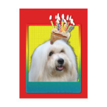 Invitation Cupcake - Coton de Tulear