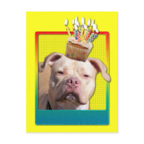 Invitation Cupcake - Pitbull - Jersey Girl