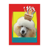 Invitation Cupcake - Poodle - Apricot