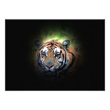 Invitation de tigre