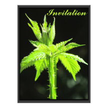 Invitation - Green Blackberry Vine - Multipurpose