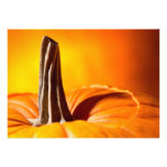 Invitations assez oranges de citrouille